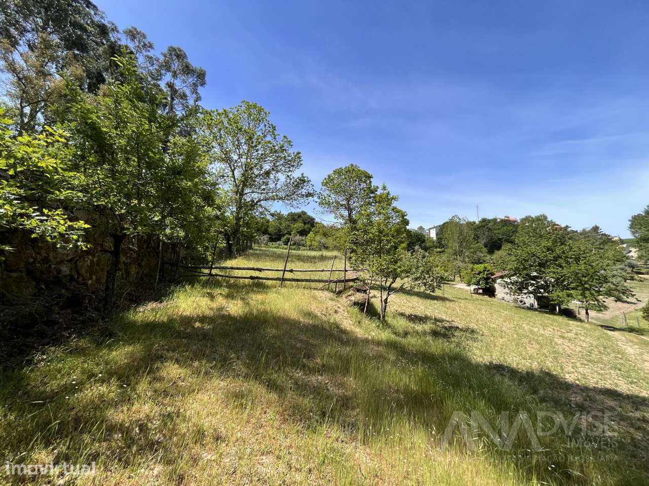 Quinta  Venda em São Miguel do Mato,Vouzela - Grande imagem: 4/48