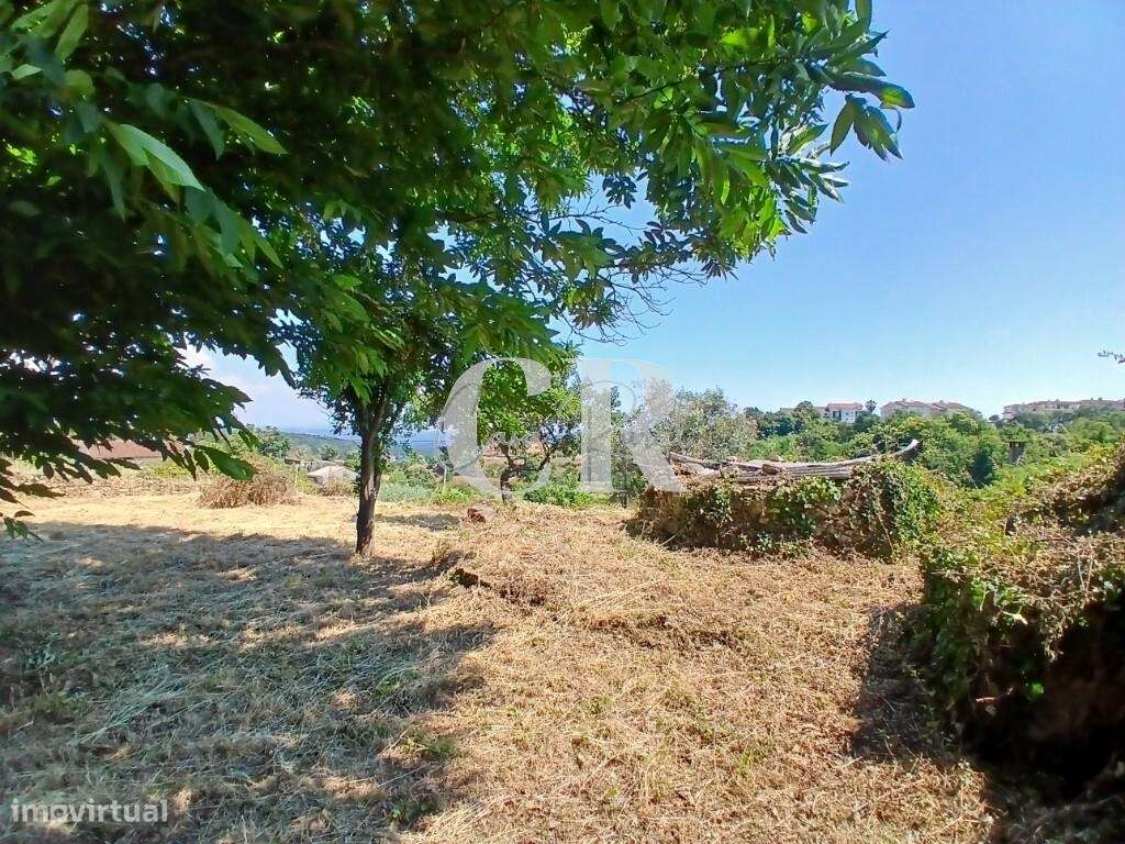 Propriedade com charme histórico, natureza e projeto aprovado em Figue-37