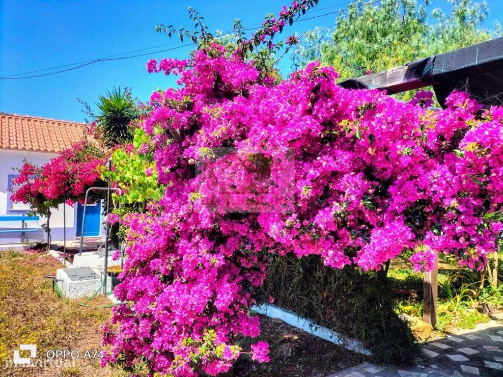 Moradia com quintal e piscina em Grândola para remodelar-8