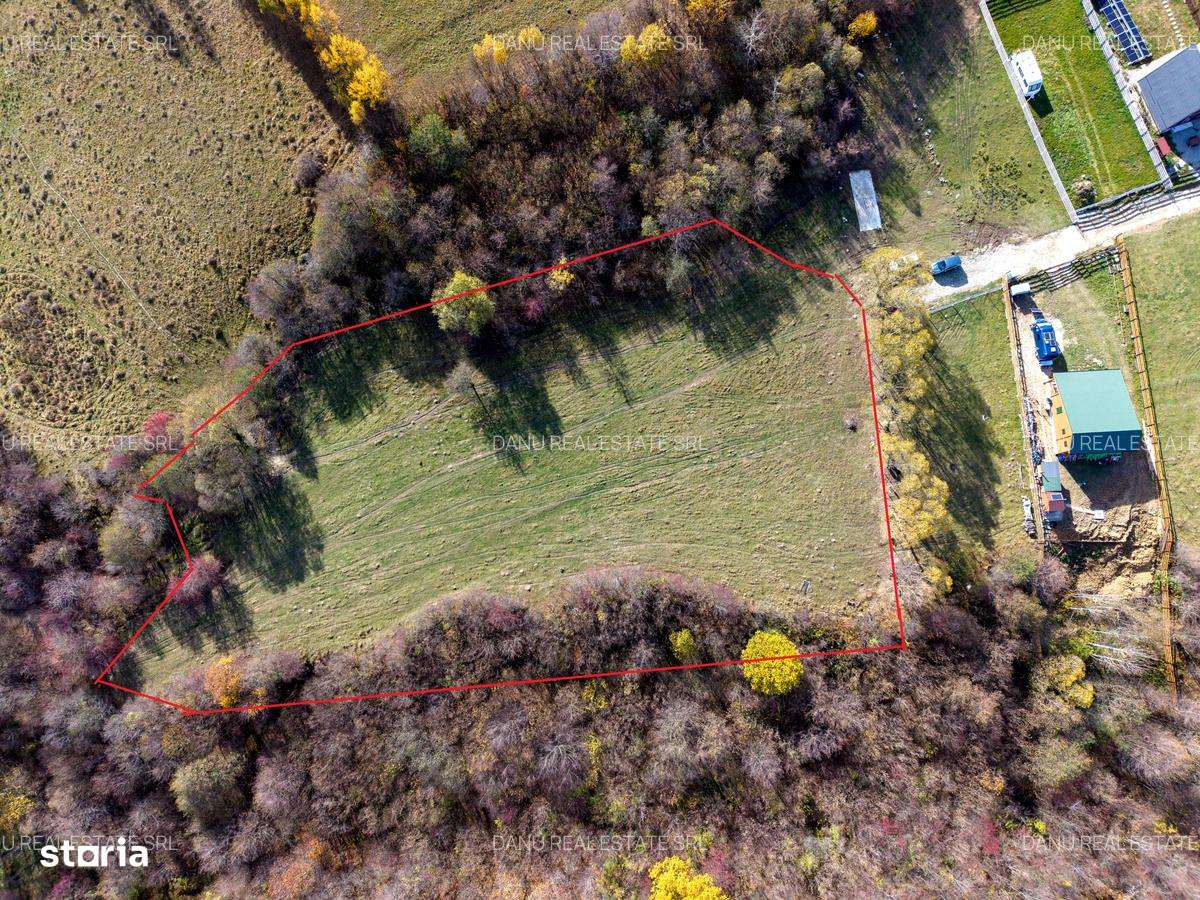 Comision0Teren intravilan 5723mp Zarnesti Tohanita-investitie - turism-3