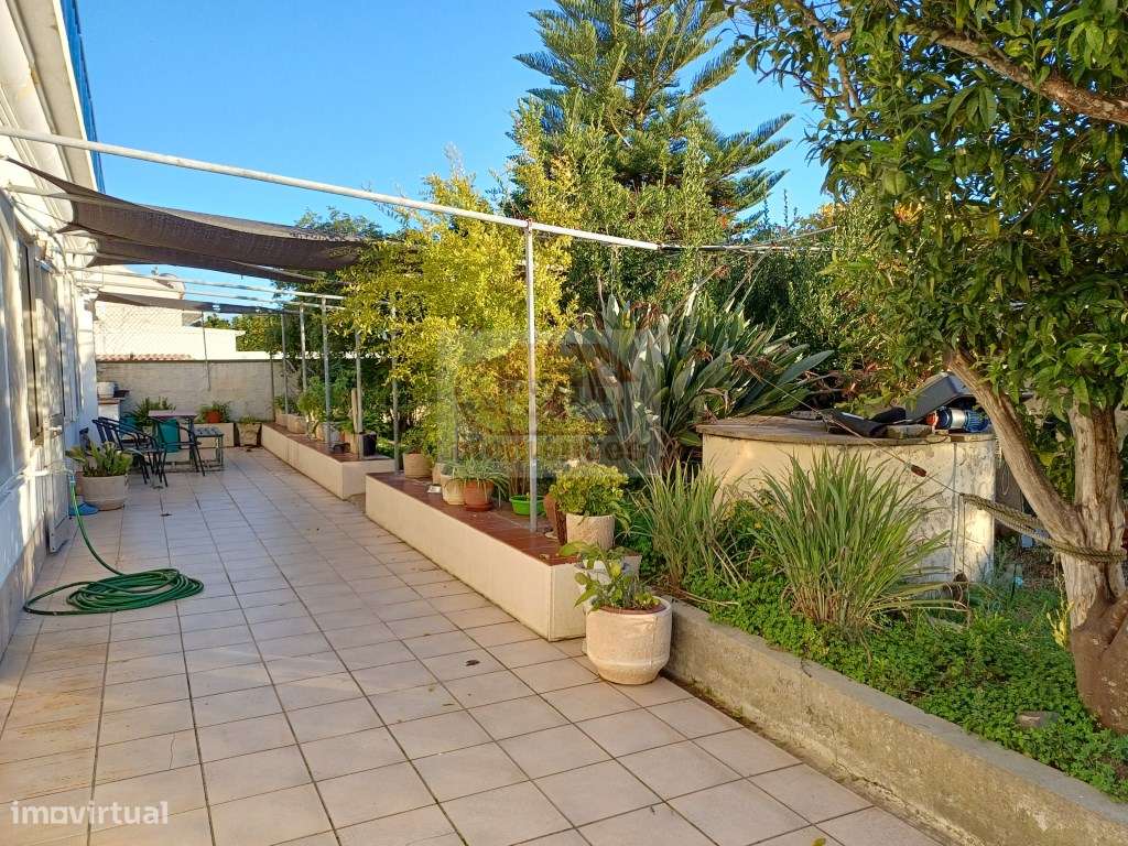 Excelente oportunidade - Quinta com 3 habitações em Grândola - Grande imagem: 3/27