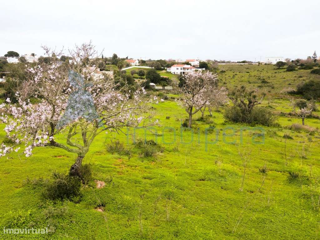 Terreno rústico, com ligeira inclinação para Sul, em Albufeira, com... - Grande imagem: 4/4