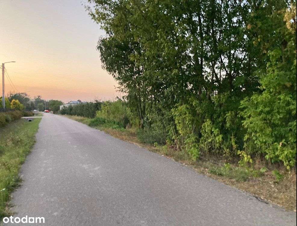 Działka, 4 100 m², Chynów-9