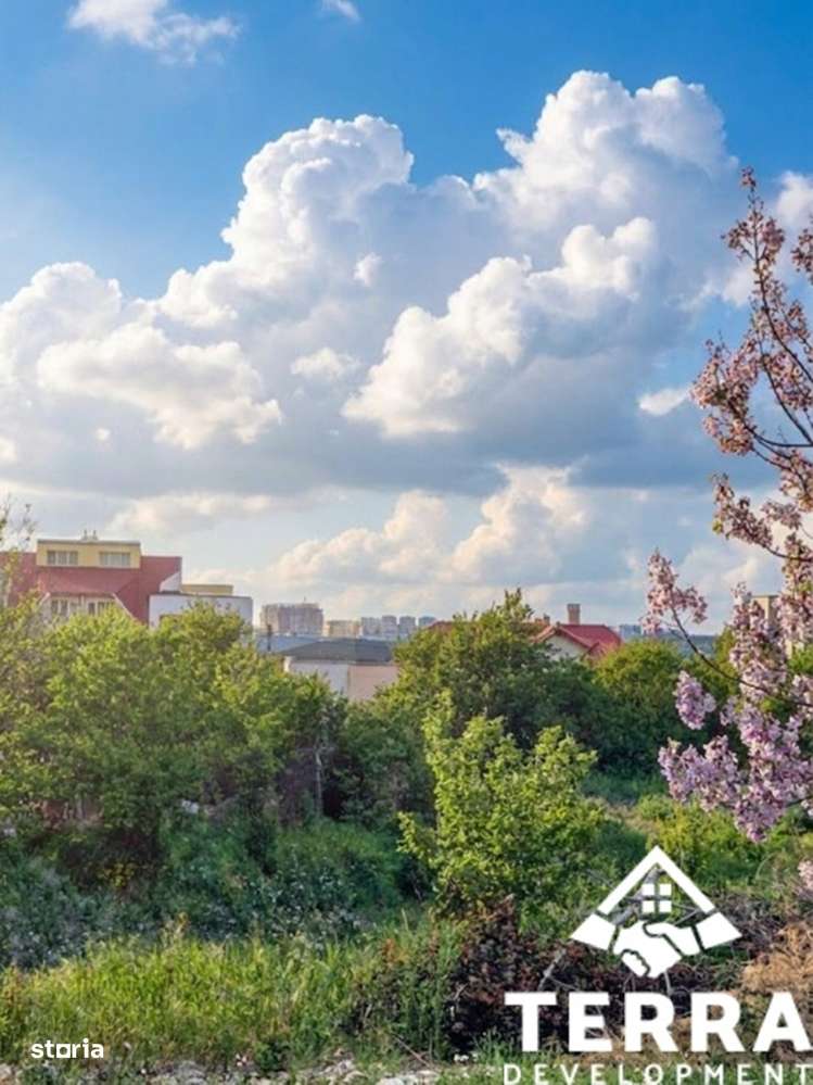 Teren la intrarea in Ovidiu - pozitie ideala-7