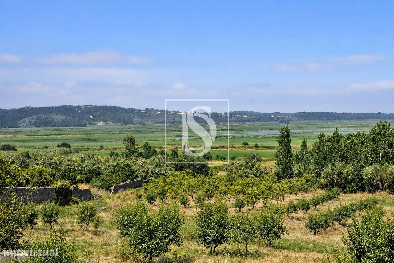 Terreno Para Construção  Venda em Alqueidão,Figueira da Foz-31