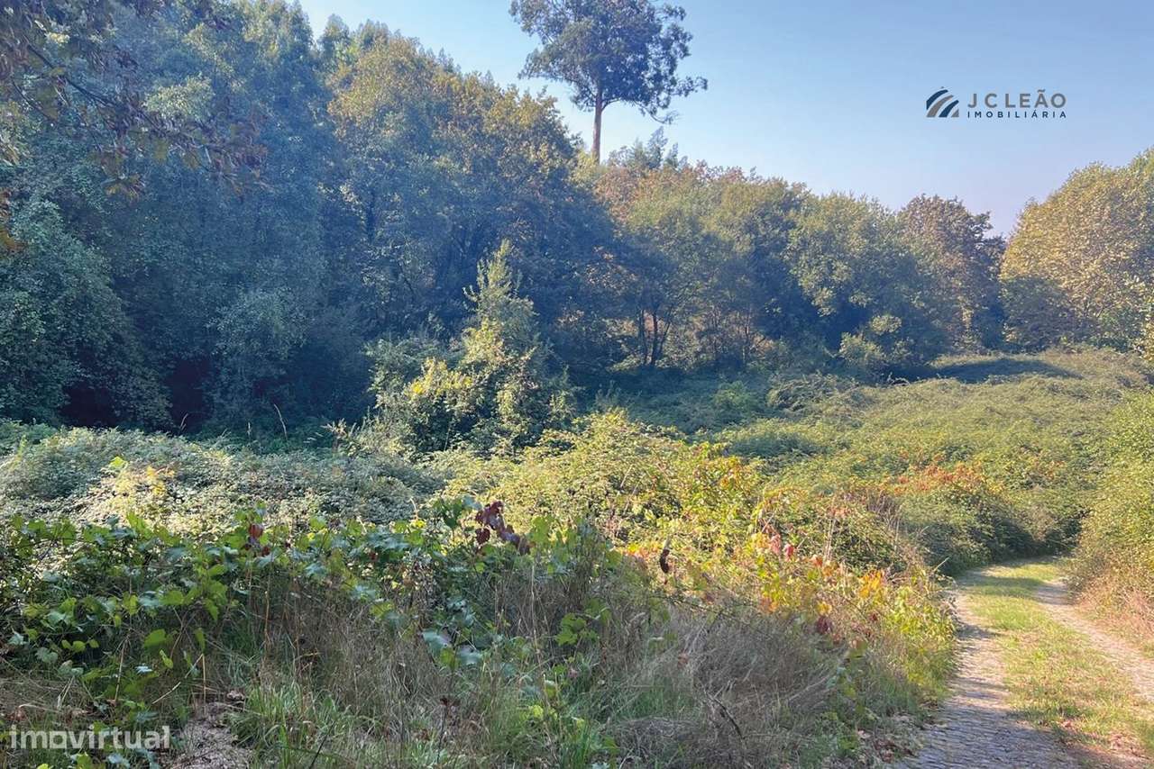 Terreno Agrícola 10.400 m² – Rebordosa, Paredes-11