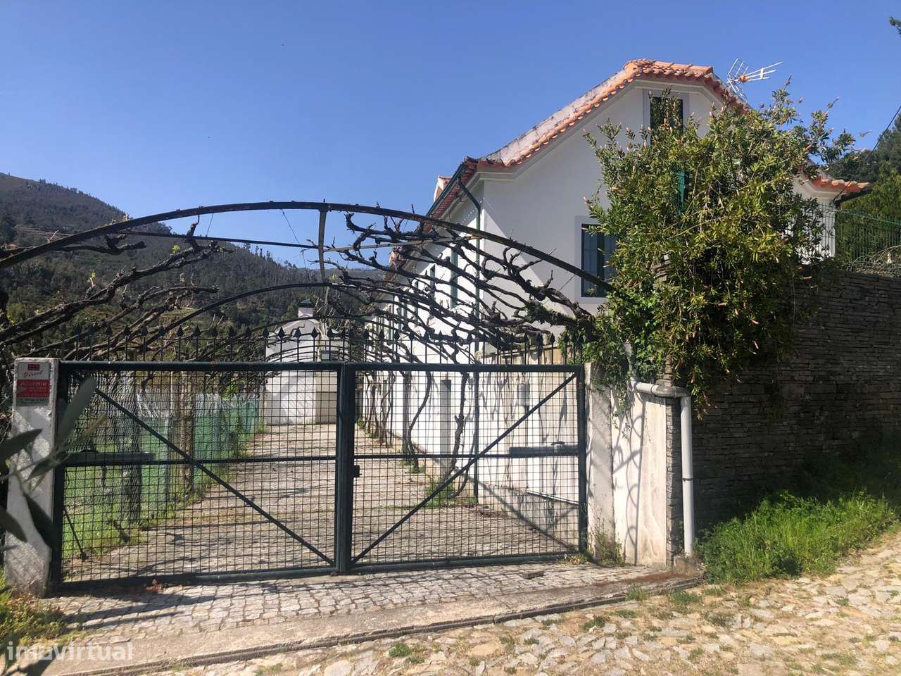 Quinta espetacular na região do vinho verde em plena produção-37