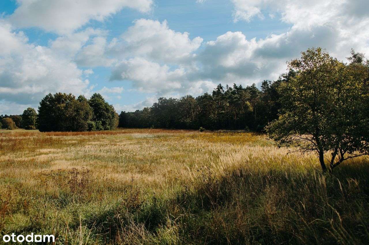 Tury - działki budowlane przy lesie - Pełny obrazek: 4/8