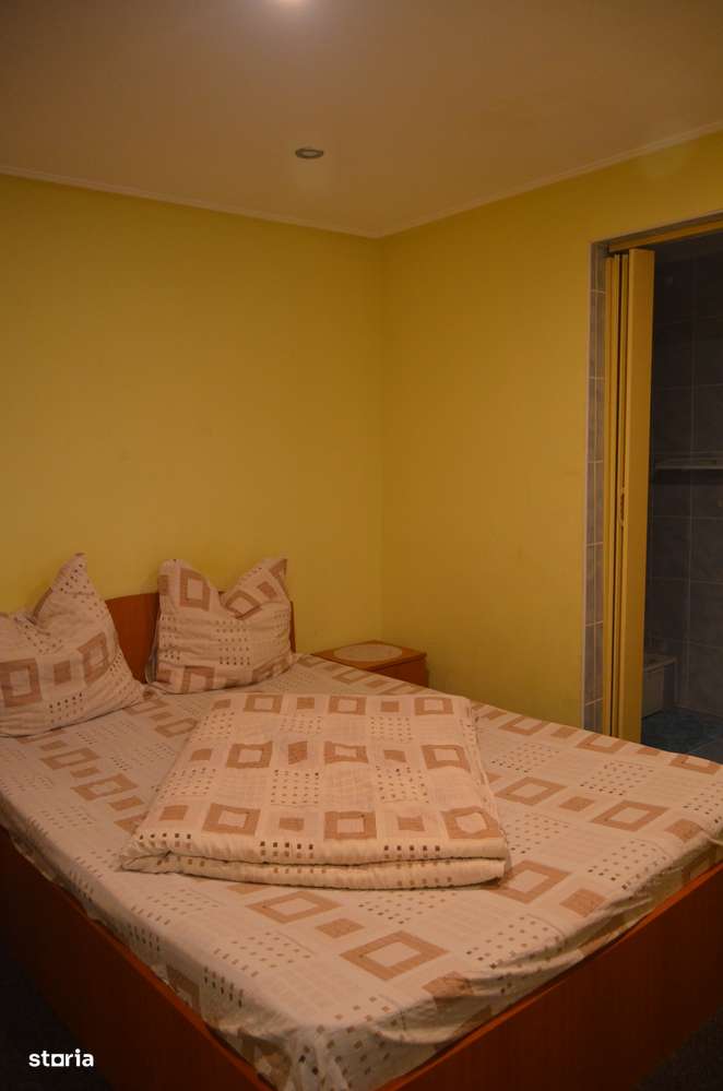 Casa de vacanta cu  7 camere-Busteni-3