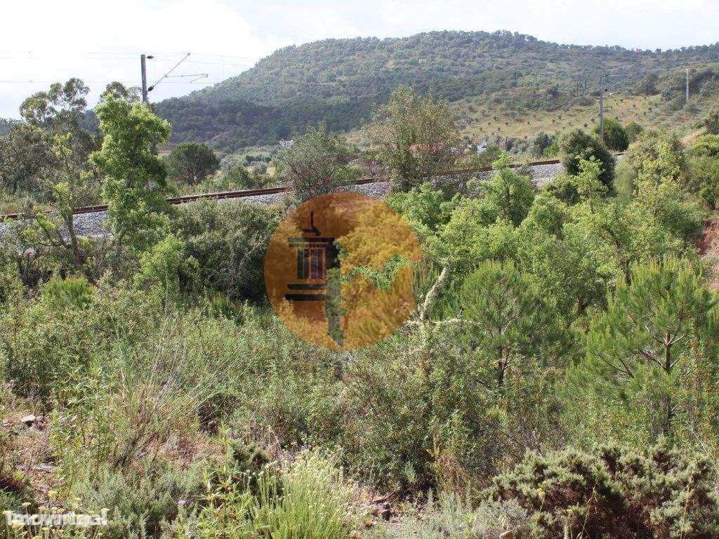 Herdade com 80 hectares com viabiliade de construção de 50% da area... - Grande imagem: 5/15