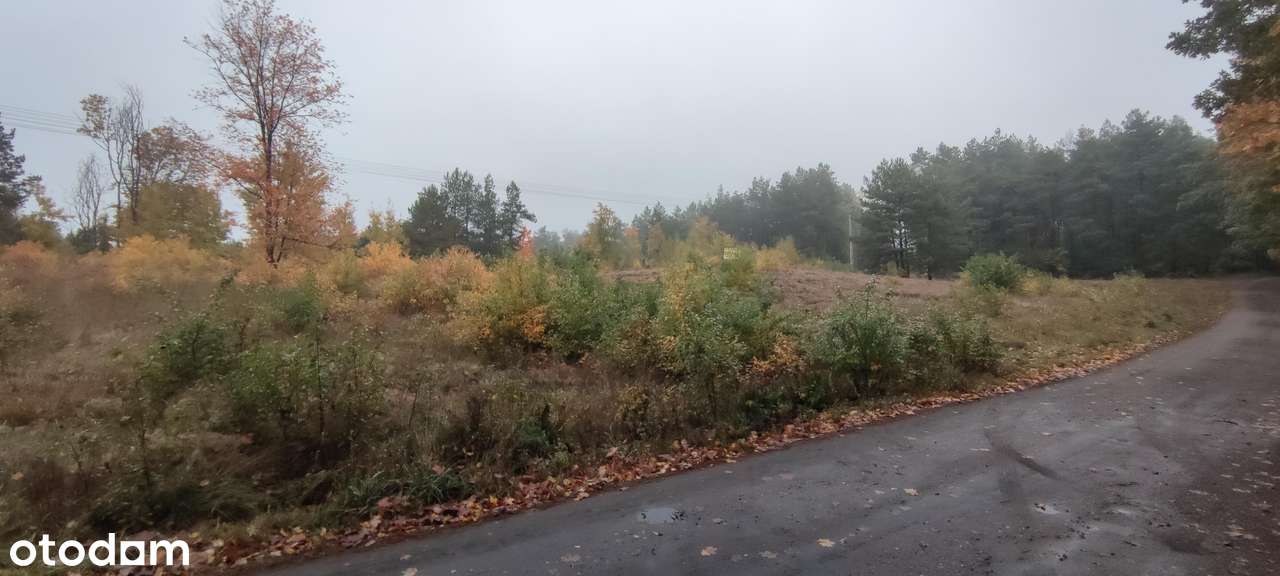 Działki na sprzedaż z wielkim potencjałem - Pełny obrazek: 2/4