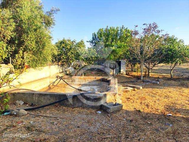 Quintinha aldeia da Caridade-6