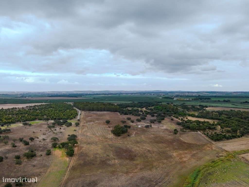 TERRENO DE 22,45HA COM RUÍNA DE 240M2 PARA RECUPERAÇÃO - CANHESTROS... - Grande imagem: 5/32