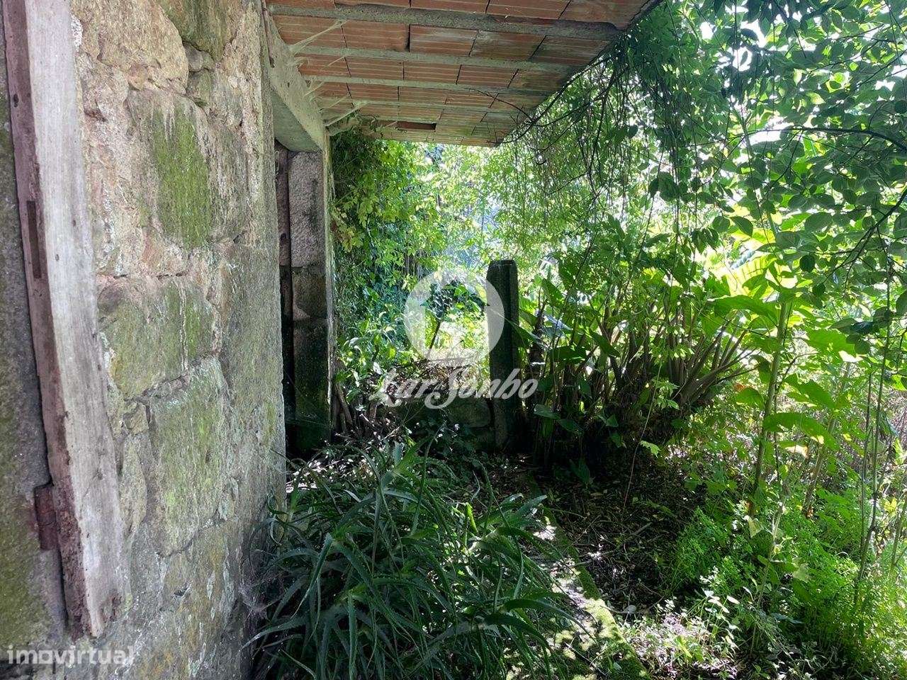 Quinta para restauro com 9.800m2 em Chorente, Barcelos - Grande imagem: 4/22