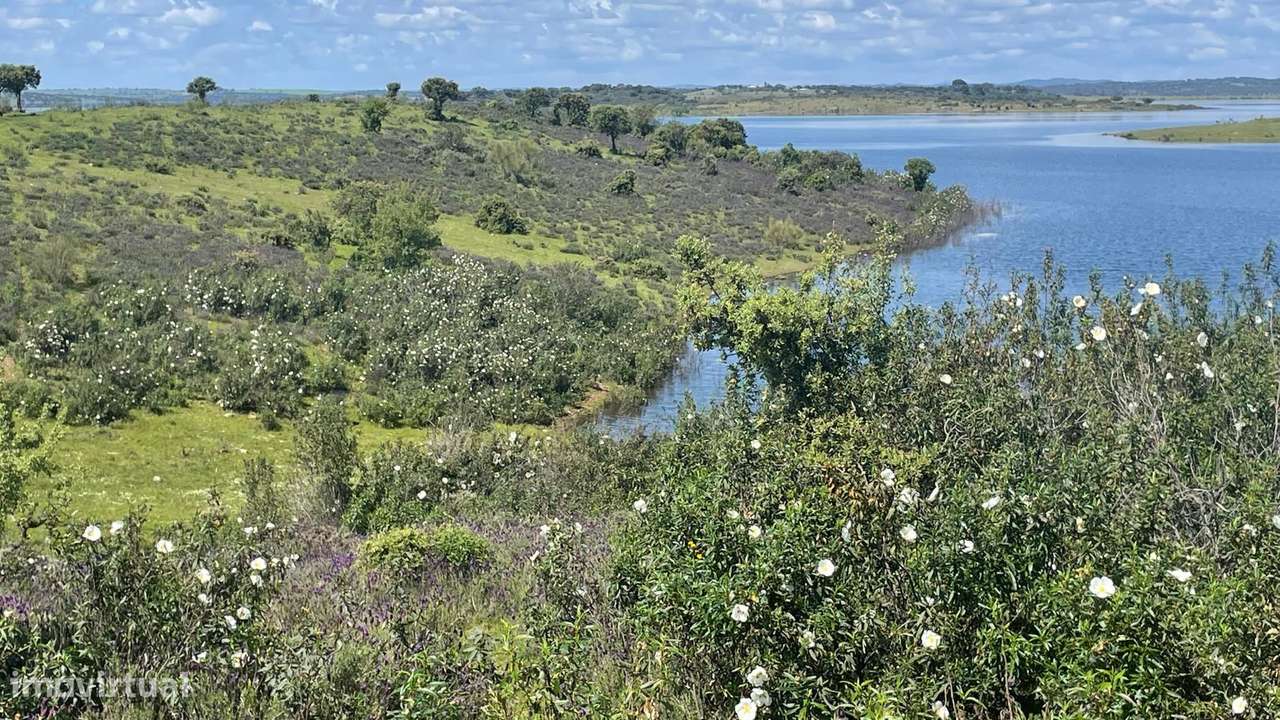 Terreno na Margem Alqueva-12