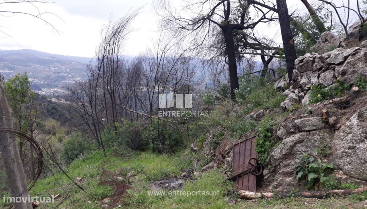 Venda Terreno, confronta ribeiro, São Tomé de Covelas, Baião - Grande imagem: 4/10