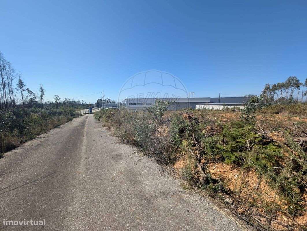 Terreno  para arrendamento - Grande imagem: 2/6