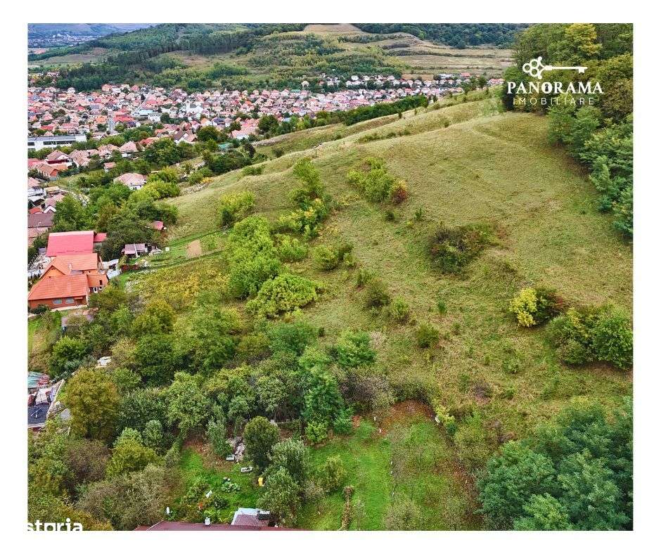 Teren intravilan de aproape 3 ha la liziera pădurii | cartierul Gloria - Imagine principală: 3/9