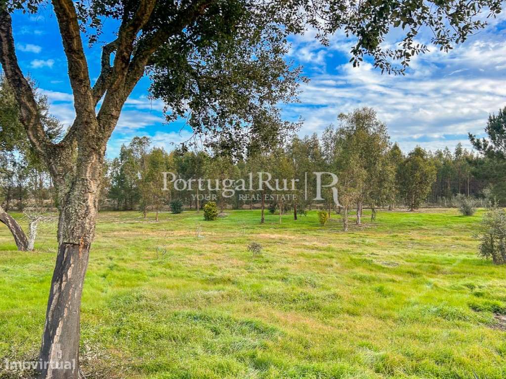 Quinta de 5 hectares, com 2 moradias e piscina-39