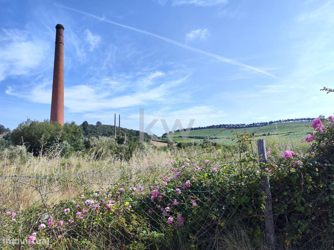 Terreno para Venda – Excelente Oportunidade de Investimento - Grande imagem: 4/22