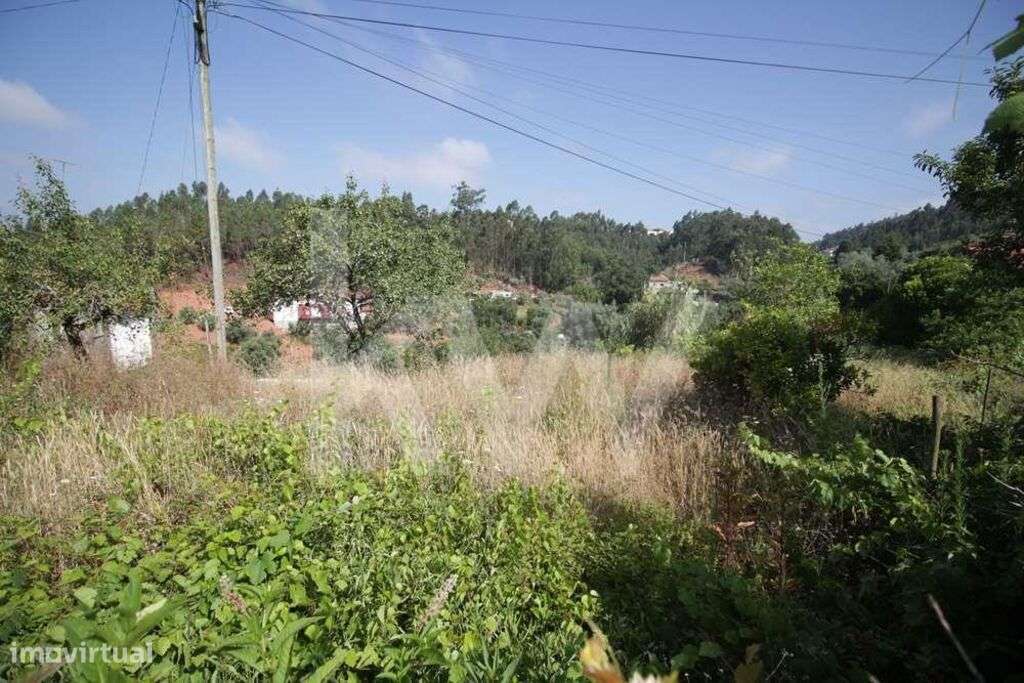 TERRENO|RUSTICO |VENDA |  EIRAS | SÃO PAULO DE FRADES | COIMBRA | INVE - Grande imagem: 5/6