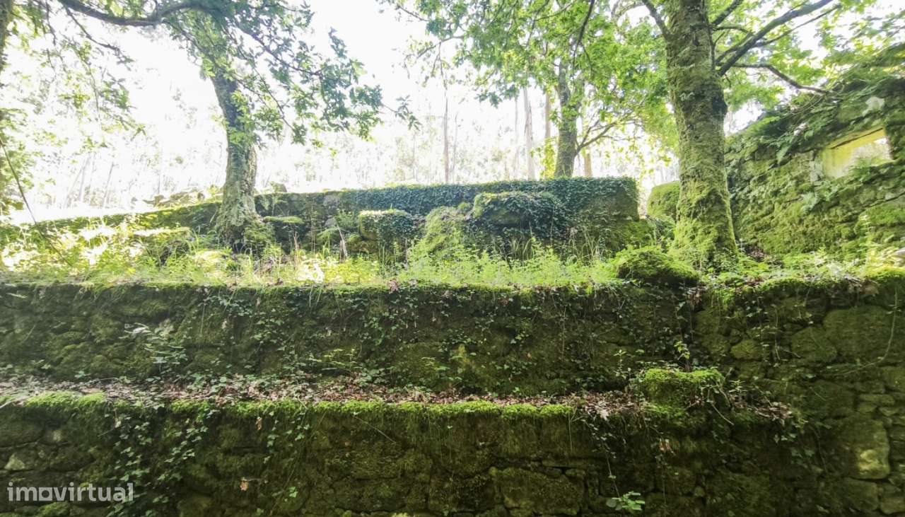Venda de Quinta, Areosa, Viana do Castelo-5