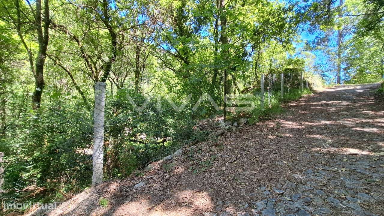 Moradia em pedra para recuperar no Parque Nacional da Peneda Gerês - Grande imagem: 4/37