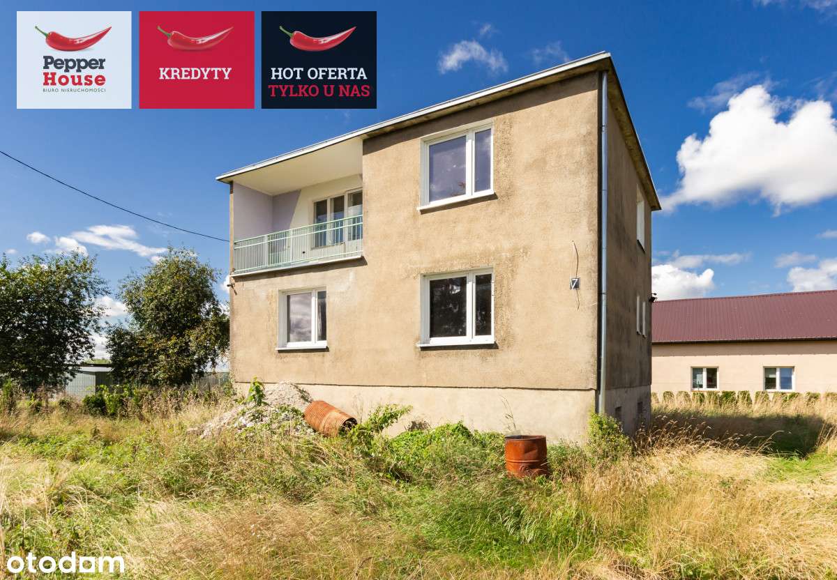 Z widokiem na wodę i ptasi rezerwat. - Pełny obrazek: 4/19