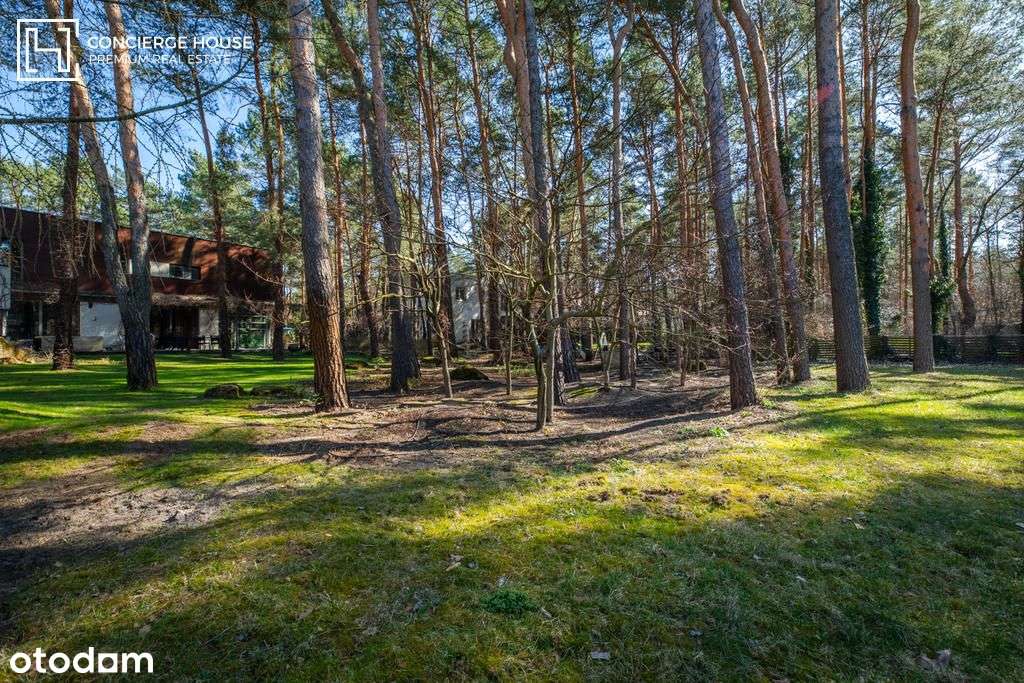 Dom w Radości | Magiczna działka ze starodrzewiem-1