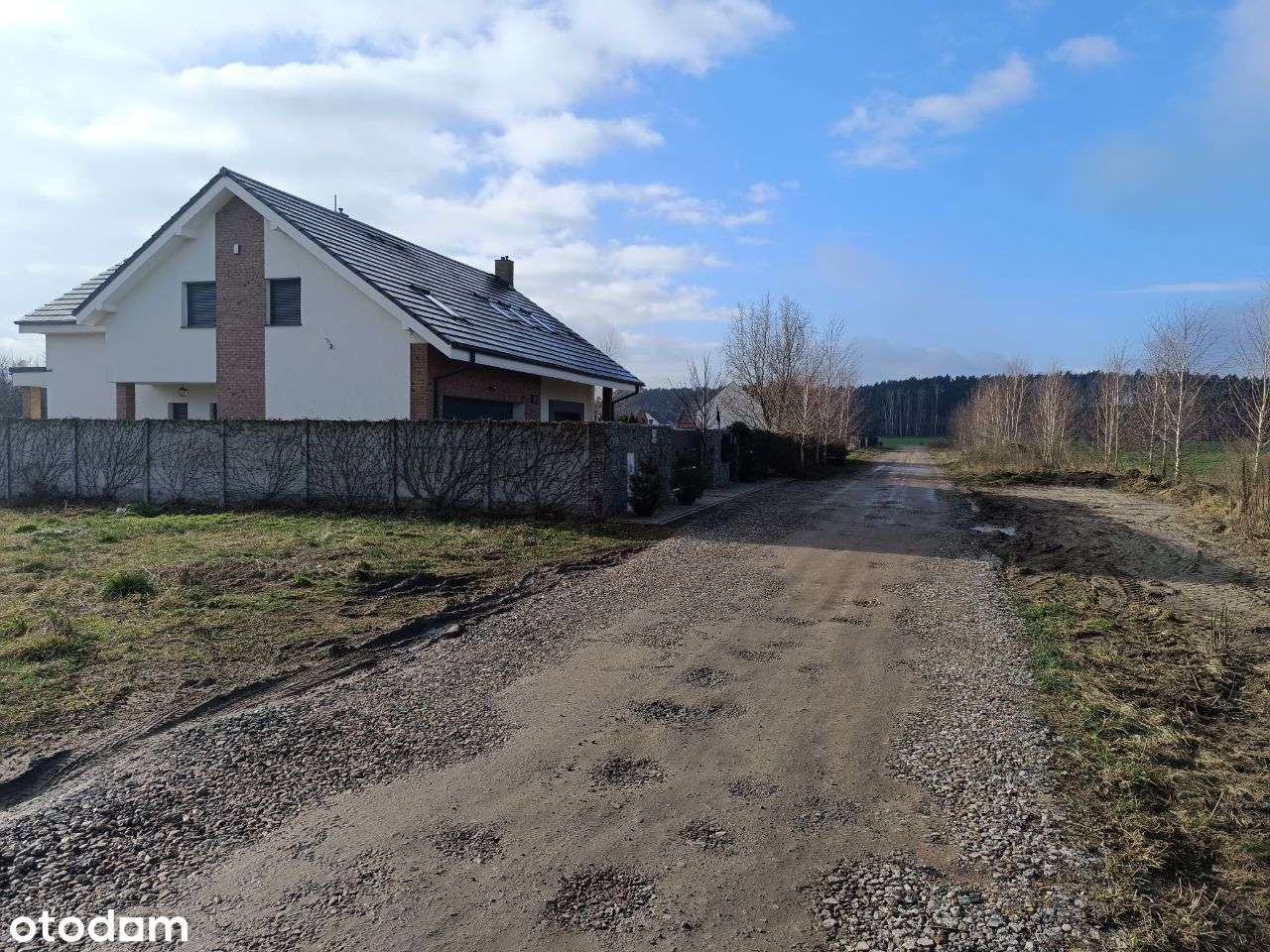 Błażejewko pod lasem, urządzony ogród, w.standard-8