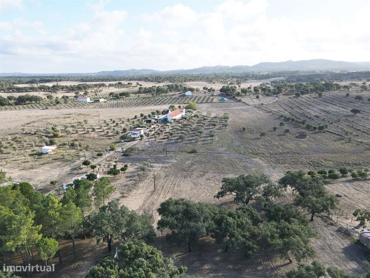 Terreno rústico Grândola - Grande imagem: 3/10