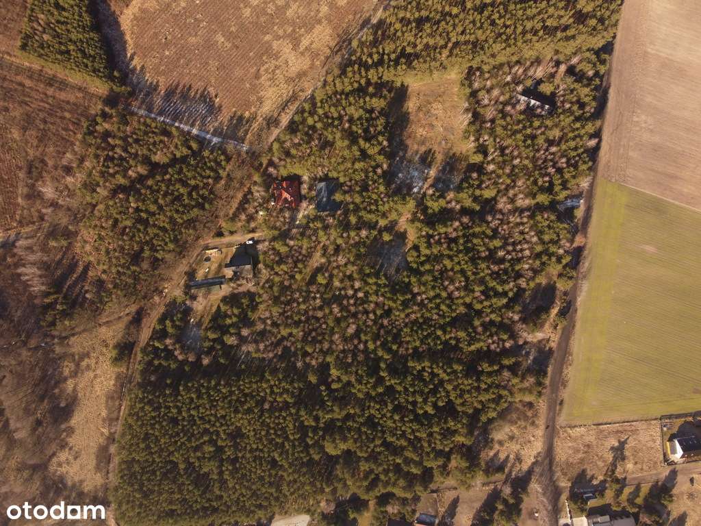 Zamieszkaj w rytmie natury – działka marzeń-8