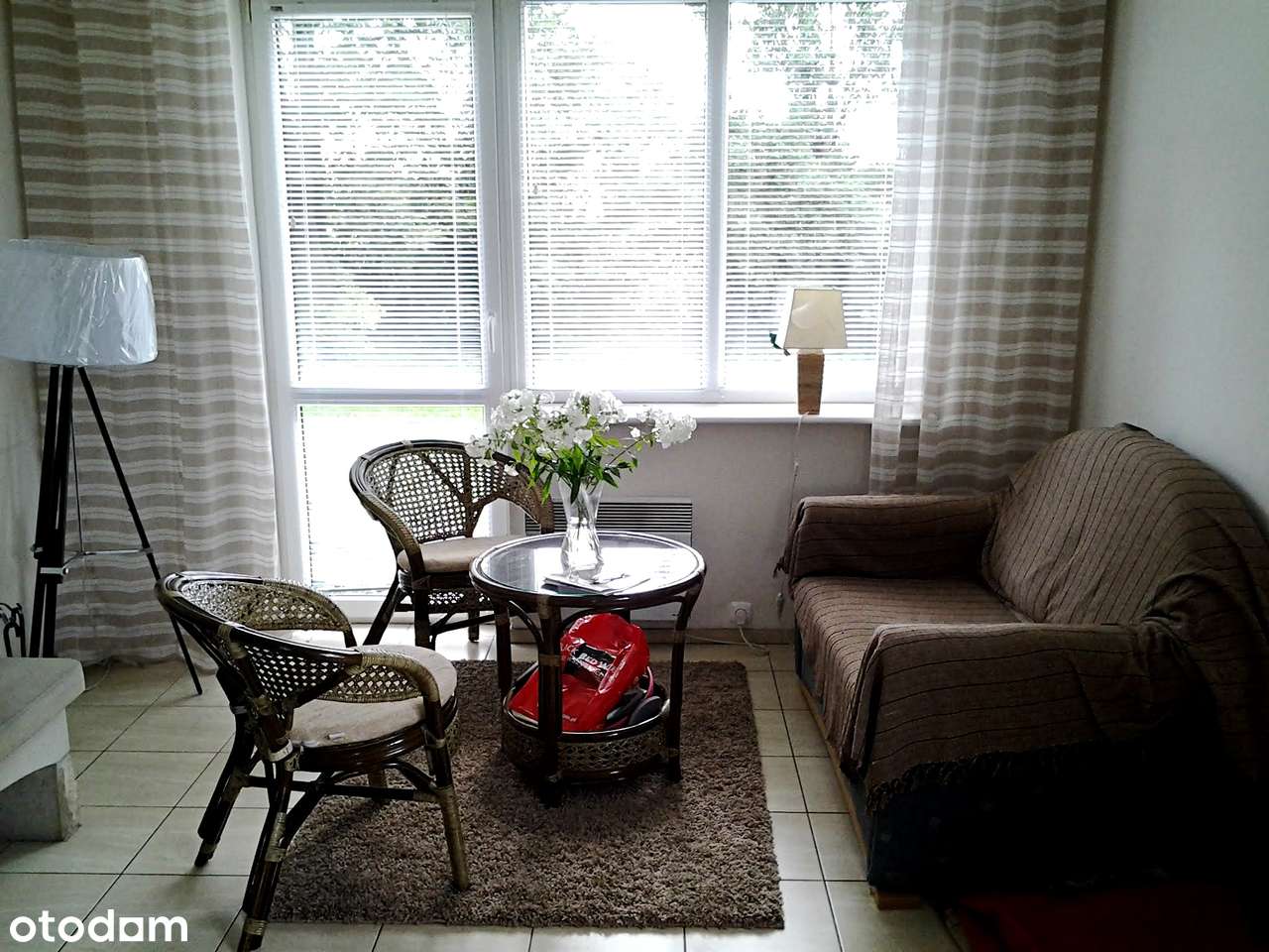 Natura, cisza, kameralność, śpiew ptaków-10