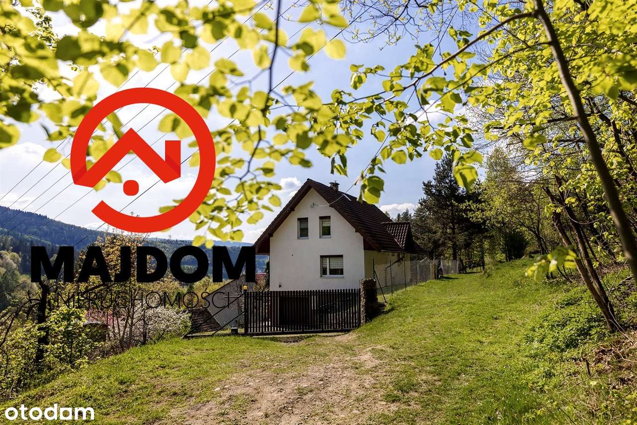 Przepiekny w zieleni - Pełny obrazek: 4/20