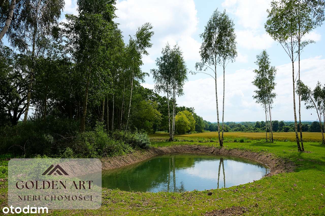 Działka na sprzedaż: Gmina Pasłęk | 5306 m² | WZ | Oczko wodne-3