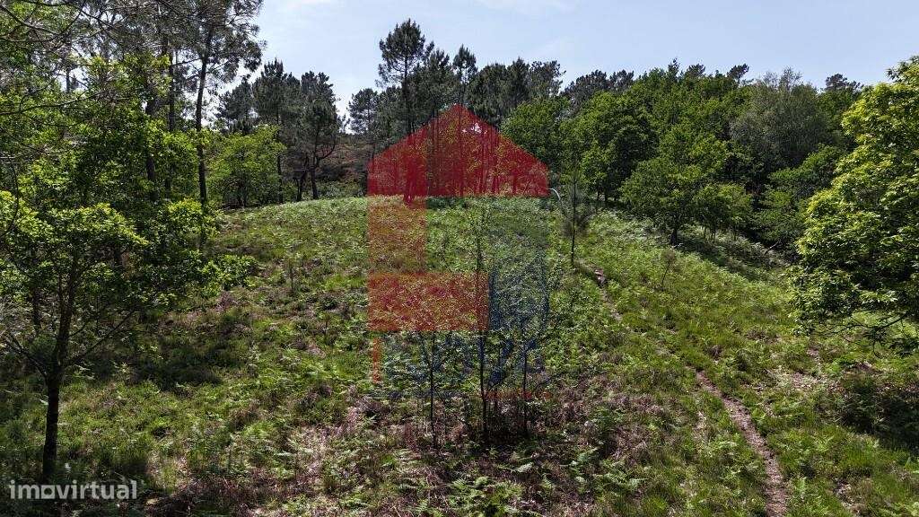 Terreno para projeto Turístico, Gerês-21