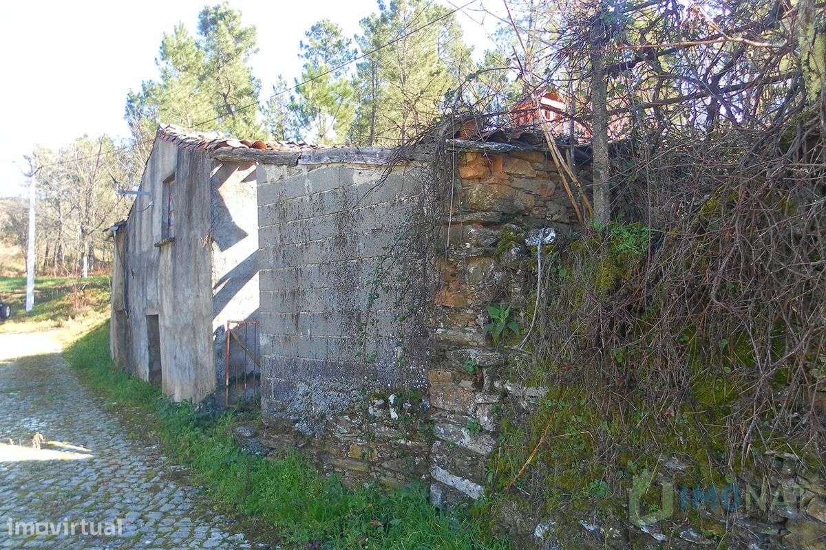 Imóvel Rural - Grande imagem: 5/37