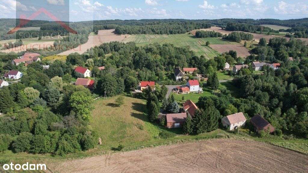 Dom na dużej działce - Pełny obrazek: 4/20