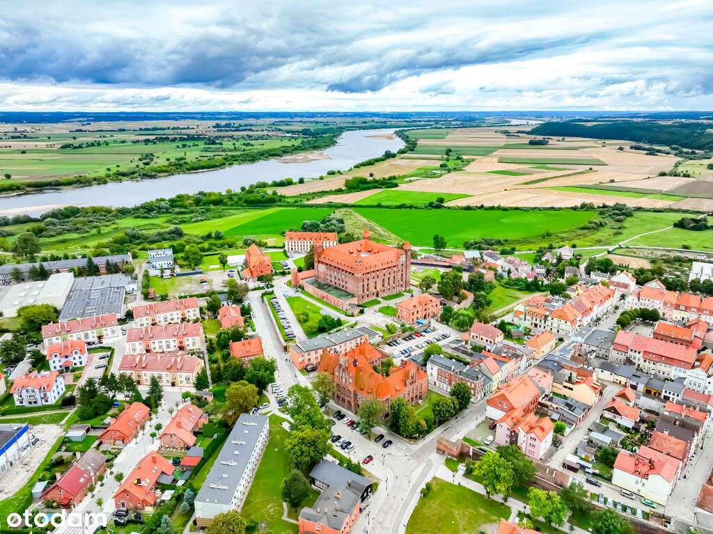 Jeśli w twoich żyłach płynie królewska krew ...-18