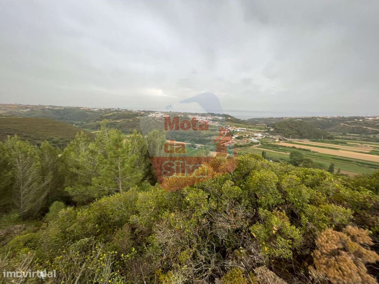Terreno Rústico Carvoeira | Mafra - Grande imagem: 4/16