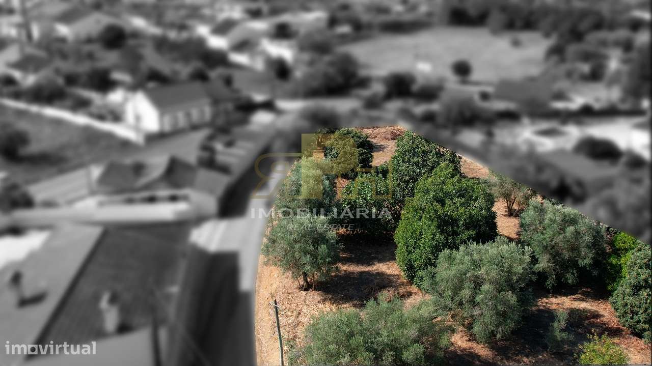 Lote de Terreno  Venda em Alcanhões,Santarém-2