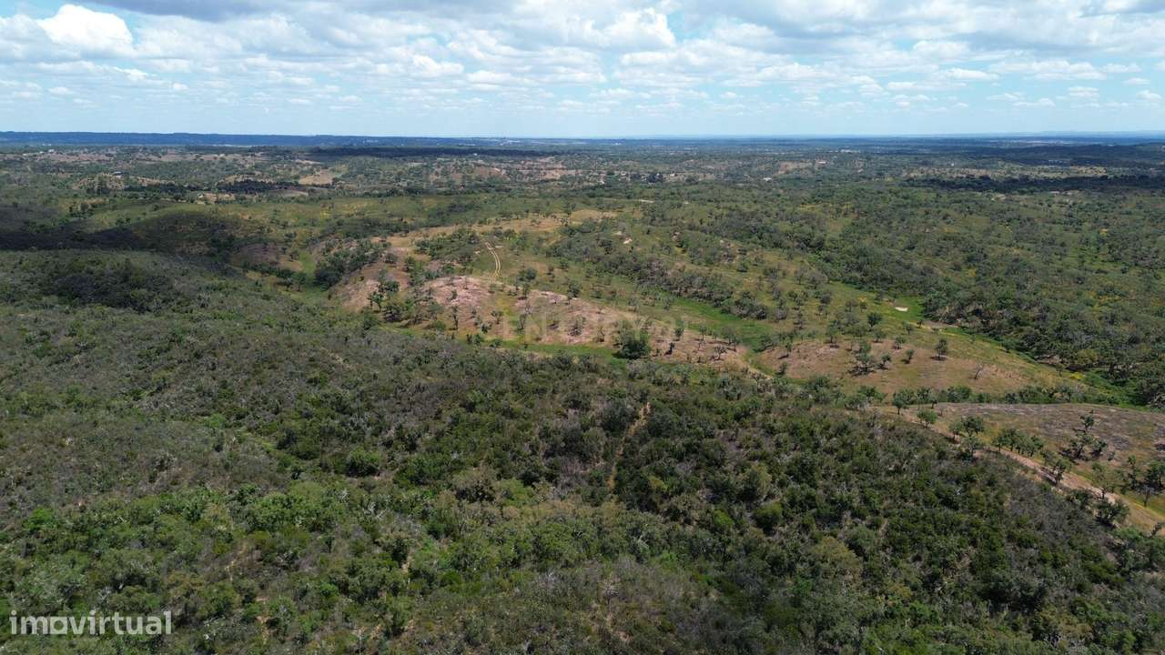 Herdade 237 Hectares Elevado Potencial de Desenvolvimento, Santiago do-6