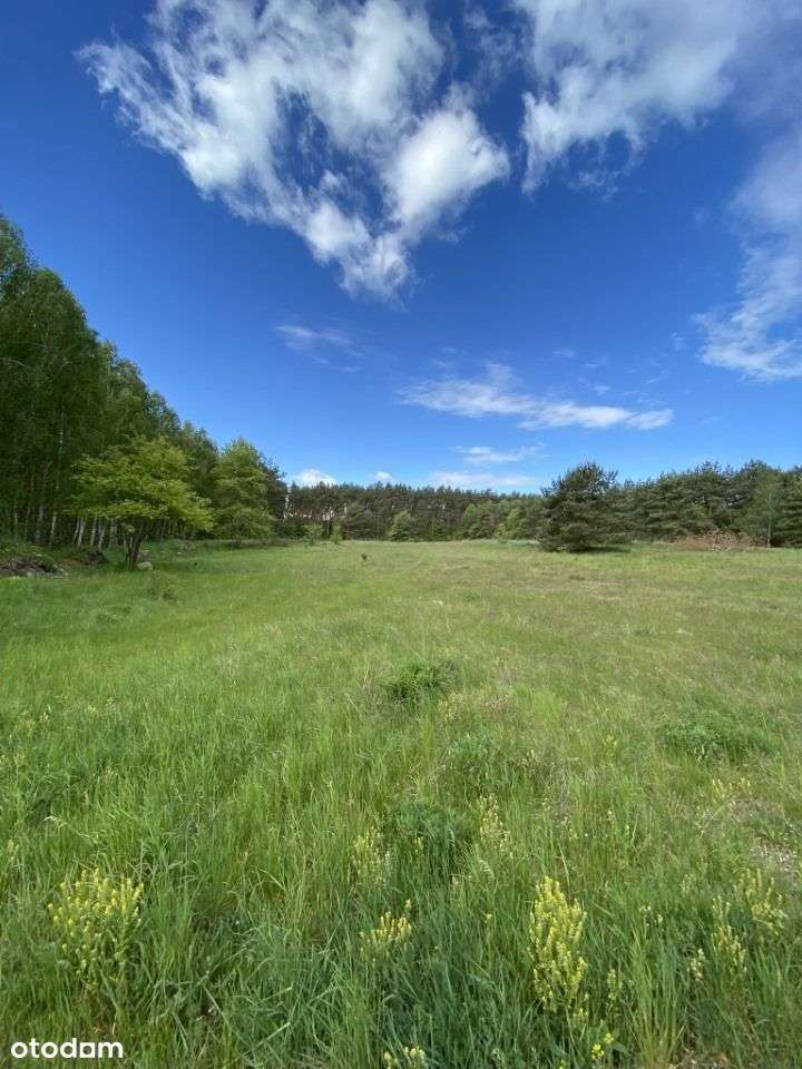 Działki pod lasem - Pełny obrazek: 5/14