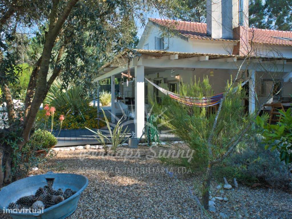 Quinta - Muda - Grande imagem: 3/60