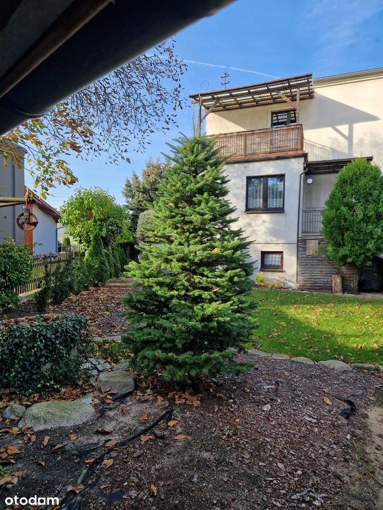 Do wynajęcia dom dla pracowników w Lesznie - Zatorze ul. Lechicka. - Pełny obrazek: 2/17