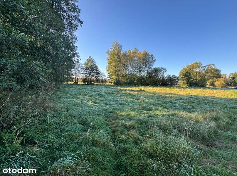 Działka budowlana 2000 m2 w spokojnej okolicy-3