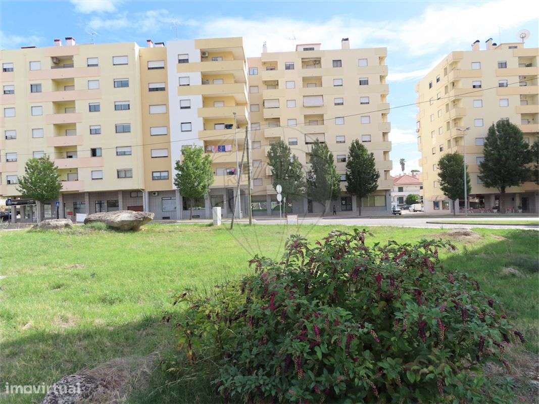 Quinta T0 para venda - Grande imagem: 3/15