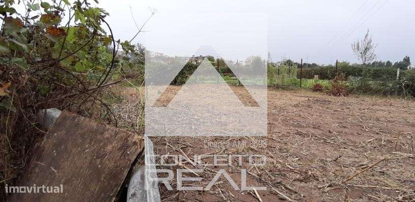 Terreno - Junto ao Rio Leça - Grande imagem: 5/7