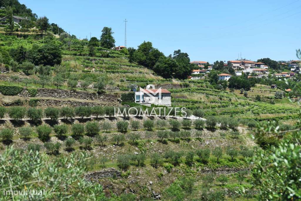 QUINTA DE AGROTURISMO EM PLENA ATIVIDADE | Negócio e Propriedade-7