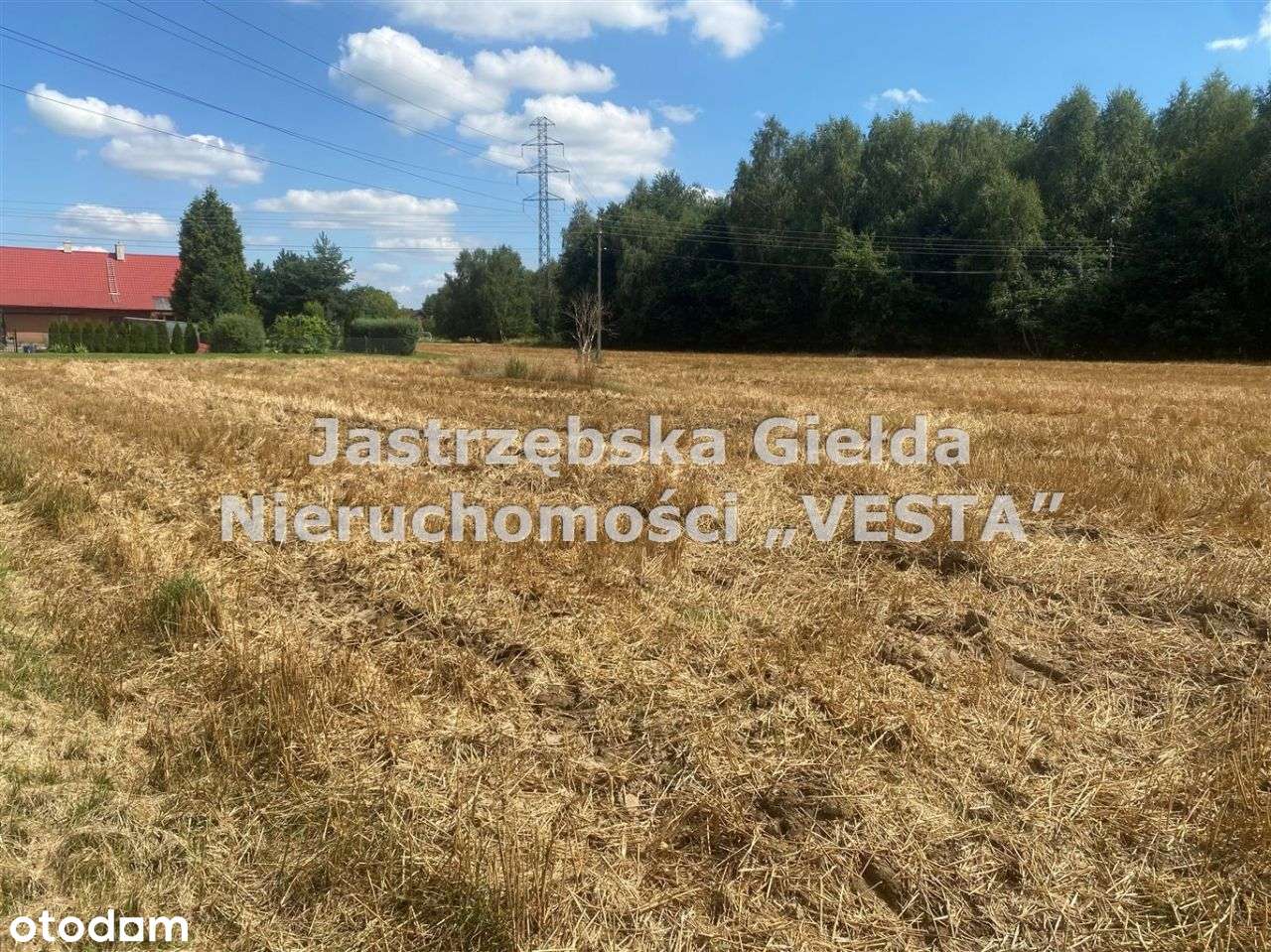 Duża Działka Budowlano-Rolna - Pełny obrazek: 5/5